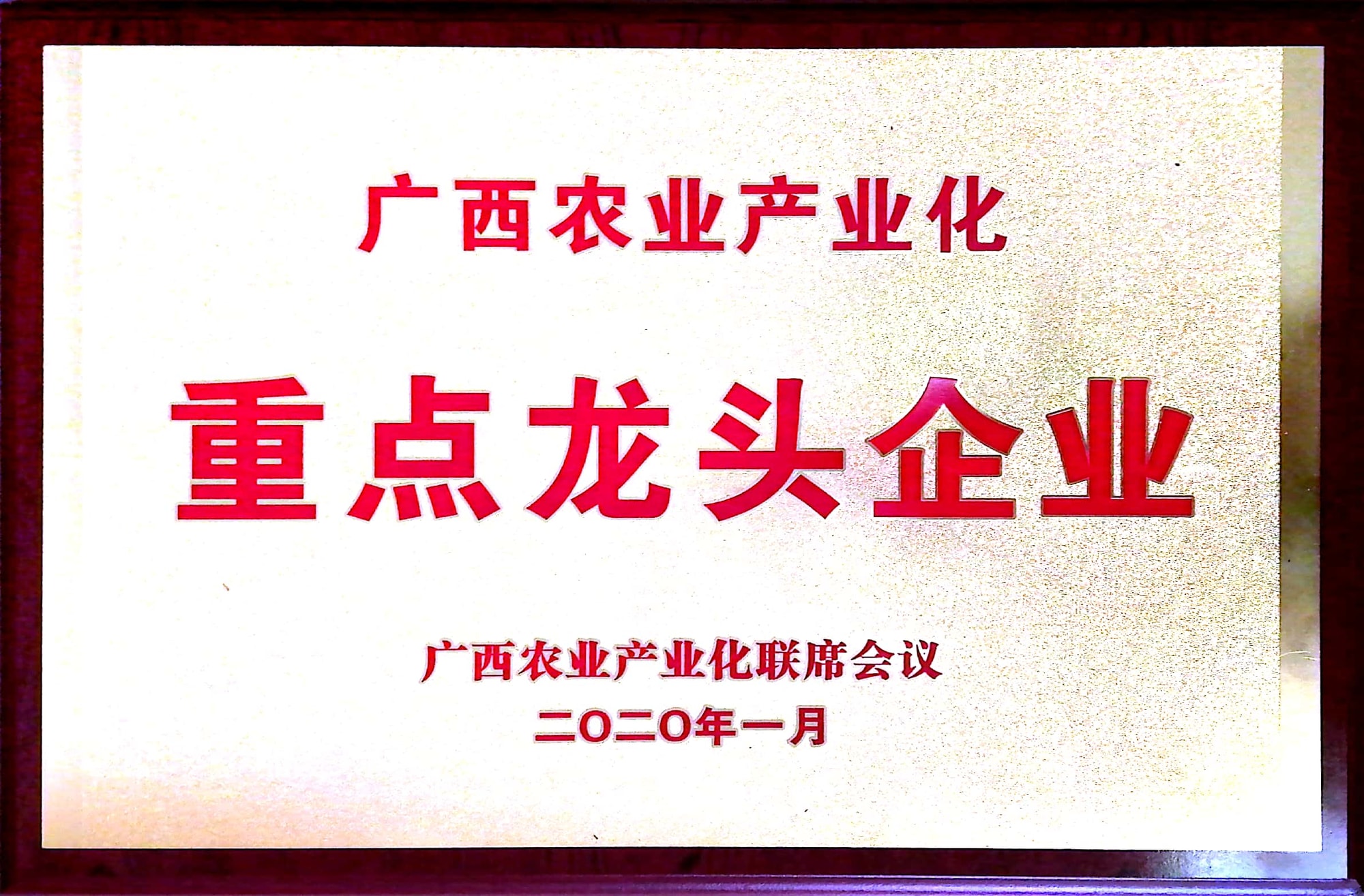 广西农业产业化重点龙头企业原件